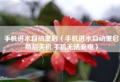 手机进水自动重启（手机进水自动重启然后关机,手机无法充电）