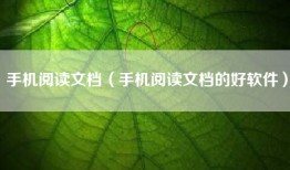 手机阅读文档（手机阅读文档的好软件）