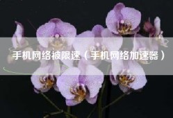 手机网络被限速（手机网络加速器）