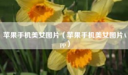 苹果手机美女图片（苹果手机美女图片App）