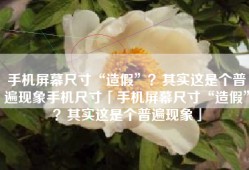 手机屏幕尺寸“造假”？其实这是个普遍现象手机尺寸「手机屏幕尺寸“造假”？其实这是个普遍现象」