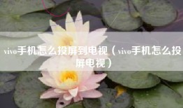 vivo手机怎么投屏到电视（vivo手机怎么投屏电视）