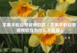 苹果手机自带视频软件（苹果手机自带视频软件为什么不能用）