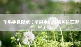 苹果手机隐藏（苹果手机隐藏照片在哪里）