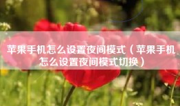 苹果手机怎么设置夜间模式（苹果手机怎么设置夜间模式切换）