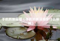 手机防偷窥膜（手机防偷窥膜是什么原理）