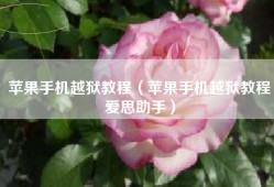 苹果手机越狱教程（苹果手机越狱教程爱思助手）