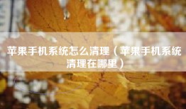 苹果手机系统怎么清理（苹果手机系统清理在哪里）