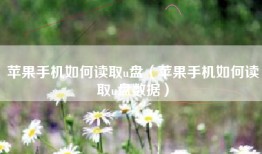 苹果手机如何读取u盘（苹果手机如何读取u盘数据）