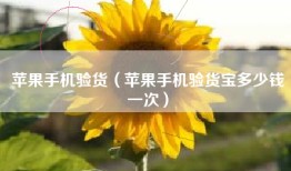 苹果手机验货（苹果手机验货宝多少钱一次）