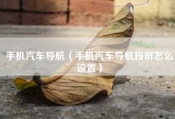 手机汽车导航（手机汽车导航投屏怎么设置）