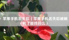 苹果手机丢失后（苹果手机丢失后被刷机了能找回么）