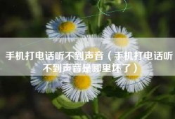 手机打电话听不到声音（手机打电话听不到声音是哪里坏了）