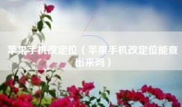 苹果手机改定位（苹果手机改定位能查出来吗）