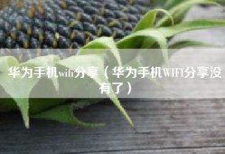 华为手机wifi分享（华为手机WIFI分享没有了）