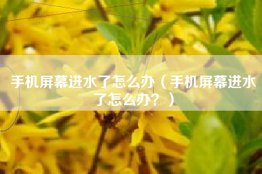 手机屏幕进水了怎么办（手机屏幕进水了怎么办？）