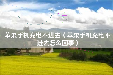 苹果手机充电不进去（苹果手机充电不进去怎么回事）