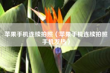 苹果手机连续拍照（苹果手机连续拍照手机发热）