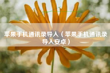 苹果手机通讯录导入（苹果手机通讯录导入安卓）