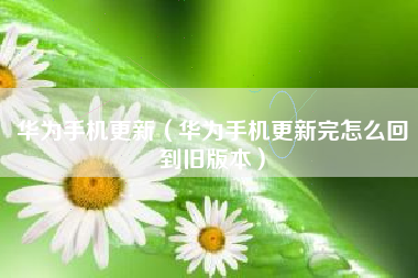 华为手机更新（华为手机更新完怎么回到旧版本）