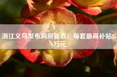 浙江义乌发布购房新政：每套最高补贴25万元